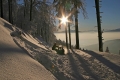 FOTO_08.JPG
