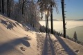 FOTO_05.JPG
